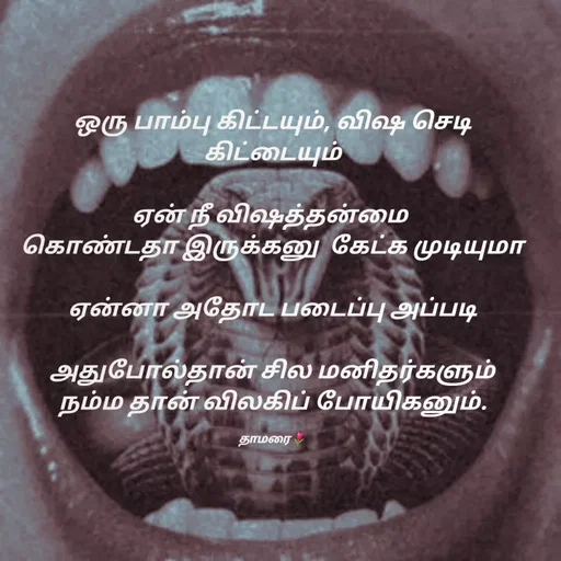 Quote by Thamarai Selvi - ஒரு பாம்பு கிட்டயும், விஷ செடி கிட்டையும்

ஏன் நீ விஷத்தன்மை 
கொண்டதா இருக்கனு  கேட்க முடியுமா

ஏன்னா அதோட படைப்பு அப்படி

அதுபோல்தான் சில மனிதர்களும்
நம்ம தான் விலகிப் போயிகனும்.

தாமரை🌷 - Made using Quotes Creator App, Post Maker App