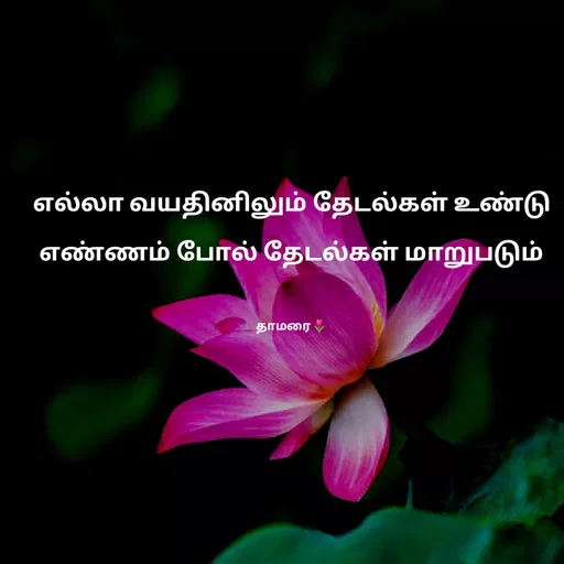 Quote by Thamarai Selvi - எல்லா வயதினிலும் தேடல்கள் உண்டு
எண்ணம் போல் தேடல்கள் மாறுபடும்

தாமரை🌷 - Made using Quotes Creator App, Post Maker App