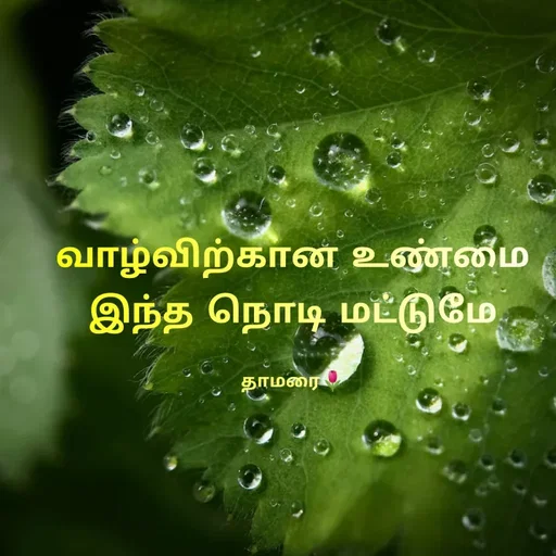 Quote by Thamarai Selvi - வாழ்விற்கான உண்மை இந்த நொடி மட்டுமே

தாமரை🌷 - Made using Quotes Creator App, Post Maker App