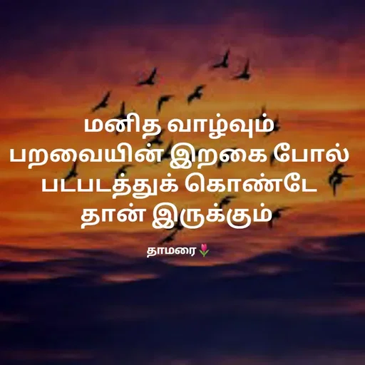 Quote by Thamarai Selvi - மனித வாழ்வும் பறவையின் இறகை போல் படபடத்துக் கொண்டே தான் இருக்கும் 

தாமரை🌷 - Made using Quotes Creator App, Post Maker App