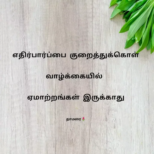 Quote by Thamarai Selvi - எதிர்பார்ப்பை குறைத்துக்கொள் வாழ்க்கையில் 
ஏமாற்றங்கள் இருக்காது

தாமரை🌷 - Made using Quotes Creator App, Post Maker App