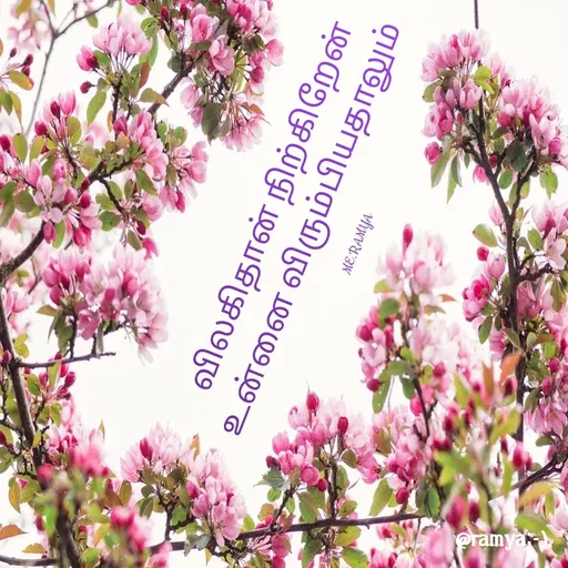 Quote by Ramya.R -  - Made using Quotes Creator App, Post Maker App
