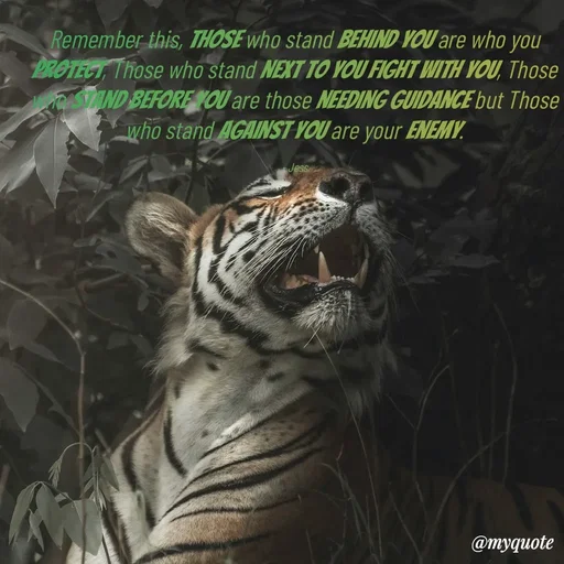 Quote by Jess - Remember this, Those who stand behind you are who you protect, Those who stand next to you fight with you, Those who stand before you are those needing guidance but Those who stand against you are your enemy.

- Jess - Made using Quotes Creator App, Post Maker App