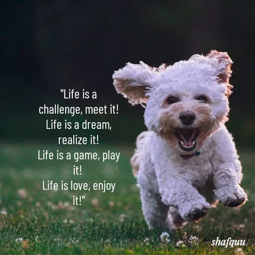 Quote by Jaanvi - "Life is a challenge, meet it!
Life is a dream, realize it!
Life is a game, play it! 
Life is love, enjoy it!" - Made using Quotes Creator App, Post Maker App