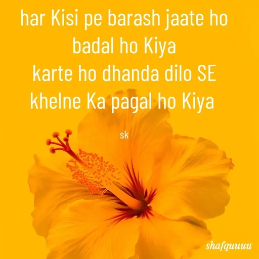 Quote by Jaanvi - har Kisi pe barash jaate ho badal ho Kiya
karte ho dhanda dilo SE khelne Ka pagal ho Kiya 

sk - Made using Quotes Creator App, Post Maker App