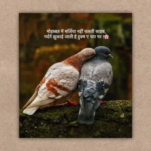 Quote by Aawara - . - Made using Quotes Creator App, Post Maker App