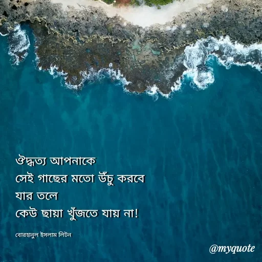 Quote by বোরহানুল ইসলাম লিটন -  - Made using Quotes Creator App, Post Maker App
