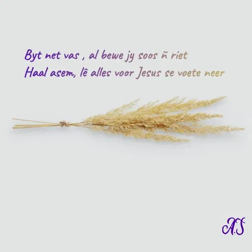 Quote by Angelique Scholtz -  - Made using Quotes Creator App, Post Maker App