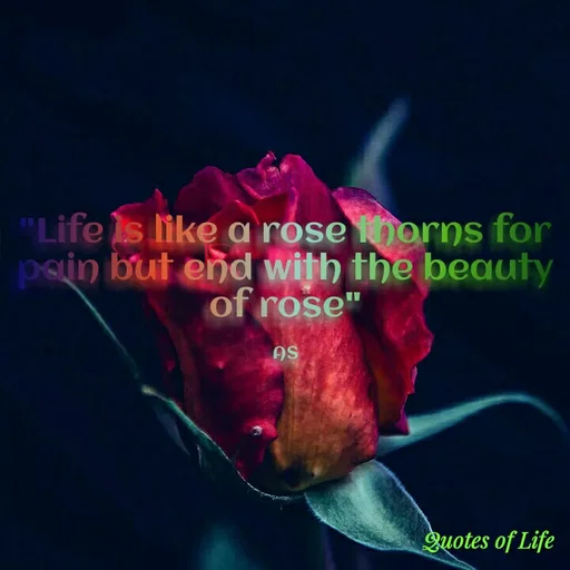 Quote by Ananya Singh - "Life is like a rose horns for
pain but end with the beauty
of rose"
AS
Quotes of Life
 - Made using Quotes Creator App, Post Maker App