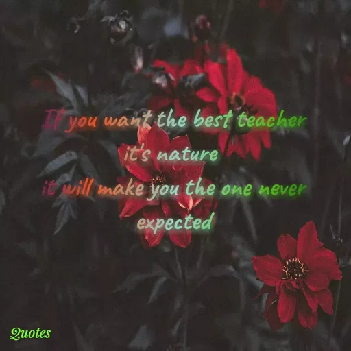 Quote by Ananya Singh - you want the best teacher
it's nature
1t will make you the one never
expected
Quotes
 - Made using Quotes Creator App, Post Maker App