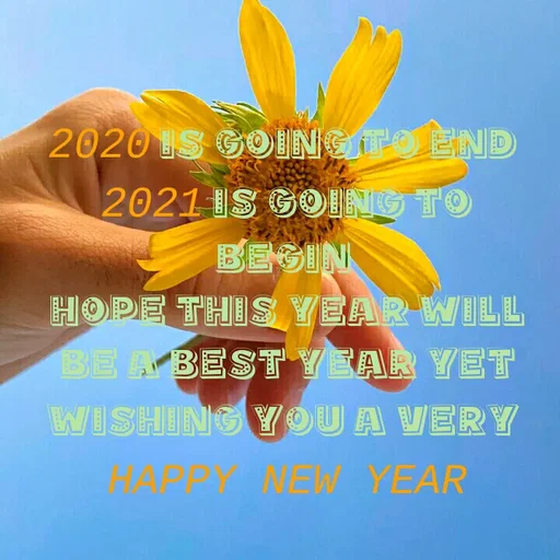 Quote by Ananya Singh - 2020 S GOINSTO END
2021 IS GOING TO
BEGIN
HOPE THIS YEAR WILL
BE A BEST YEAR YET
WISHING YOU A VERY
HAPPY NEW YEAR
 - Made using Quotes Creator App, Post Maker App