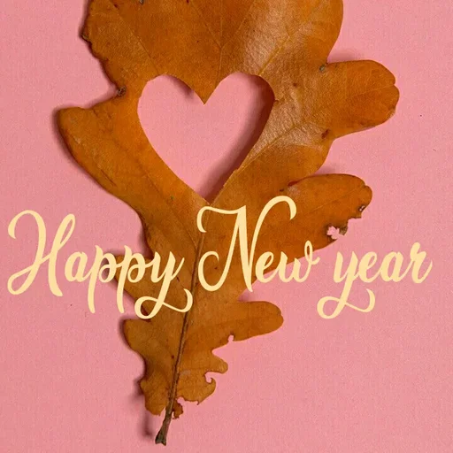 Quote by Ananya Singh - Happy Newiyear
 - Made using Quotes Creator App, Post Maker App