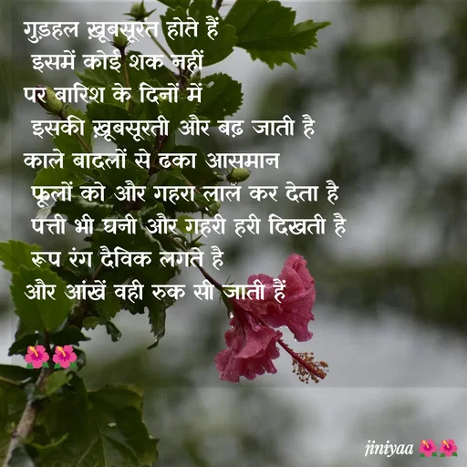 Quote by jiniyaa 🌺🌺 | a soulful pen - गुड़हल ख़ूबसूरत होते हैं
 इसमें कोई शक नहीं 
पर बारिश के दिनों में
 इसकी ख़ूबसूरती और बढ़ जाती है 
काले बादलों से ढका आसमान
 फूलों को और गहरा लाल कर देता है
 पत्ती भी घनी और गहरी हरी दिखती है
 रूप रंग दैविक लगते है 
और आंखें वही रुक सी जाती हैं 

🌺🌺 - Made using Quotes Creator App, Post Maker App