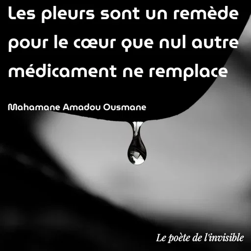Quote by Mahamane Amadou Ousmane -  - Made using Quotes Creator App, Post Maker App