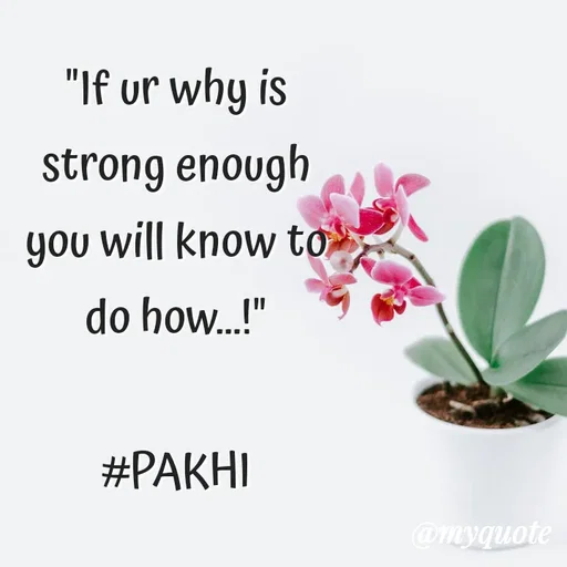 Quote by Jamchar Ali Ahmed - "If ur why is strong enough you will know to do how...!"

#PAKHI - Made using Quotes Creator App, Post Maker App