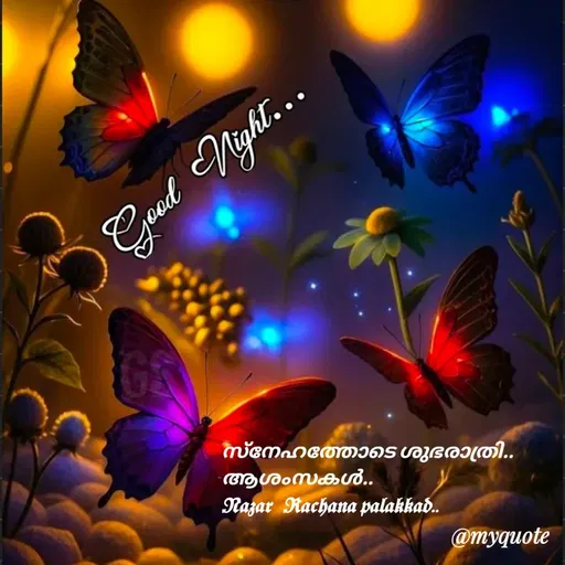 Quote by H.Mohamed Nazar -  - Made using Quotes Creator App, Post Maker App