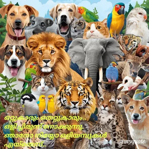 Quote by H.Mohamed Nazar -  - Made using Quotes Creator App, Post Maker App