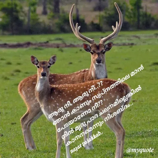 Quote by H.Mohamed Nazar -  - Made using Quotes Creator App, Post Maker App