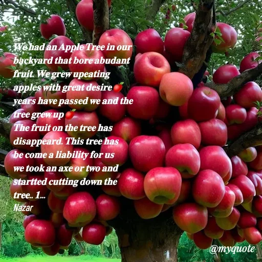 Quote by H.Mohamed Nazar -  - Made using Quotes Creator App, Post Maker App