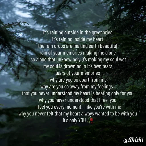 Quote by Shiski - it's raining outside in the greenaries 
it's raining inside my heart 
the rain drops are making earth beautiful 
rain of your memories making me alone 
so alone that unknowingly it's making my soul wet
my soul is drowning in it's own tears,
tears of your memories 
why are you so apart from me
why are you so away from my feelings...
that you never understood my heart is beating only for you 
why you never understood that I feel you 
i feel you every moment... like you're with me
why you never felt that my heart always wanted to be with you 
it's only YOU 🥀

 - Made using Quotes Creator App, Post Maker App