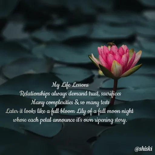 Quote by Shiski - My Life Lessons
Relationships always demand trust, sacrifices
Many complexities & so many tests
Later it looks like a full bloom Lily of a full moon night 
whose each petal announce it's own ripening story.
 - Made using Quotes Creator App, Post Maker App