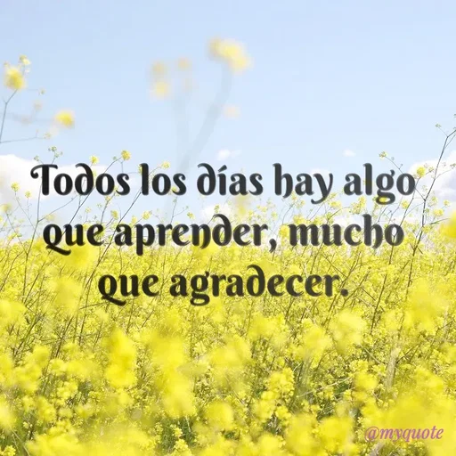 Quote by Natalia Arrieta -  - Made using Quotes Creator App, Post Maker App