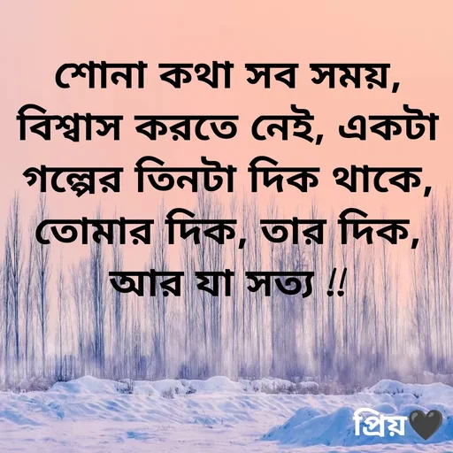 Quote by Partho Modak - শোনা কথা সব সময়, বিশ্বাস করতে নেই, একটা গল্পের তিনটা দিক থাকে, তোমার দিক, তার দিক, আর যা সত্য !! - Made using Quotes Creator App, Post Maker App