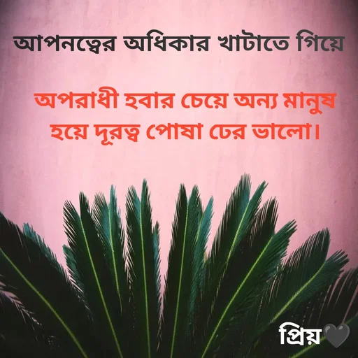 Quote by Partho Modak - আপনত্বের অধিকার খাটাতে গিয়েঅপরাধী হবার চেয়ে অন্য মানুষ হয়ে দূরত্ব পোষা ঢের ভালো। - Made using Quotes Creator App, Post Maker App
