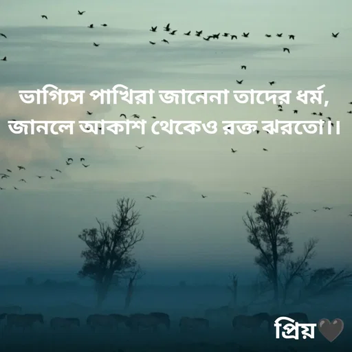 Quote by Partho Modak - ভাগ্যিস পাখিরা জানেনা তাদের ধর্ম,
জানলে আকাশ থেকেও রক্ত ঝরতো।। - Made using Quotes Creator App, Post Maker App