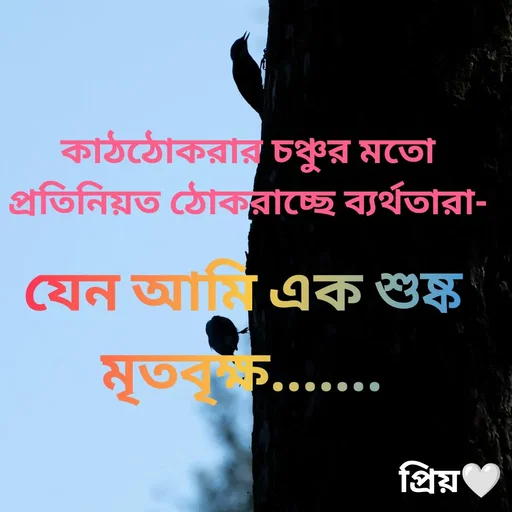 Quote by Partho Modak - কাঠঠোকরার চঞ্চুর মতো প্রতিনিয়ত ঠোকরাচ্ছে ব্যর্থতারা-যেন আমি এক শুষ্ক মৃতবৃক্ষ....... - Made using Quotes Creator App, Post Maker App