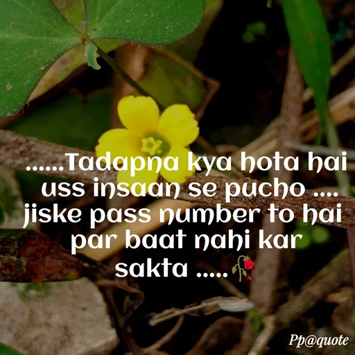 Quote by Radhe..💫 - ......Tadapna kya hota hai
 uss insaan se pucho ....
jiske pass number to hai 
par baat nahi kar sakta .....🥀 - Made using Quotes Creator App, Post Maker App