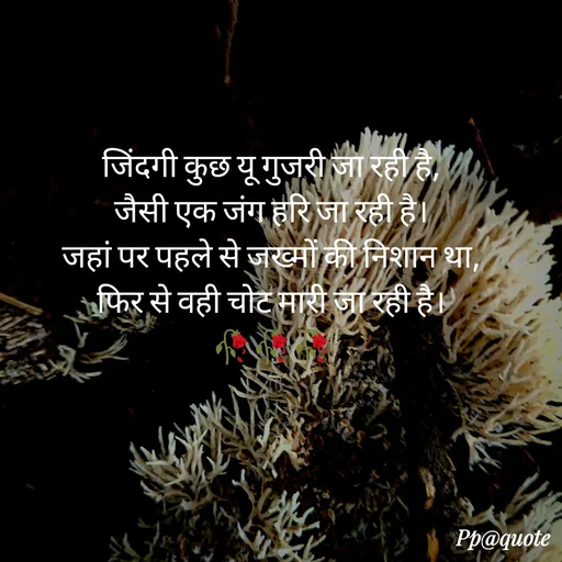 Quote by Radhe..💫 - जिंदगी कुछ यू गुजरी जा रही है,
जैसी एक जंग हरि जा रही है।
जहां पर पहले से जख्मों की निशान था,
फिर से वही चोट मारी जा रही है।
🥀🥀🥀 - Made using Quotes Creator App, Post Maker App