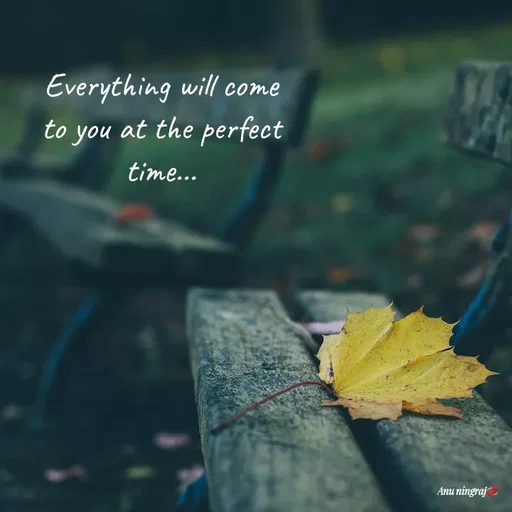 Quote by Anu Ningraj - Everything will come to you at the perfect time... - Made using Quotes Creator App, Post Maker App