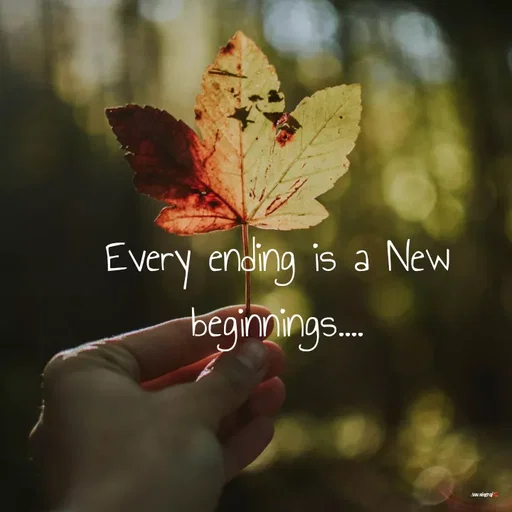 Quote by Anu Ningraj - Every ending is a New beginnings.... - Made using Quotes Creator App, Post Maker App
