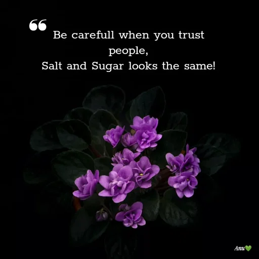 Quote by Anu Ningraj - Be carefull when you trust people,
Salt and Sugar looks the same!❛❛ - Made using Quotes Creator App, Post Maker App
