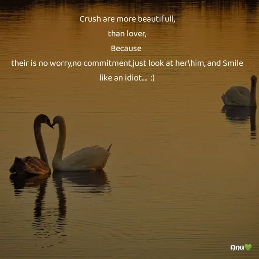 Quote by Anu Ningraj - Crush are more beautifull,
than lover,
Because 
their is no worry,no commitment,just look at her\him, and Smile like an idiot....  :) - Made using Quotes Creator App, Post Maker App