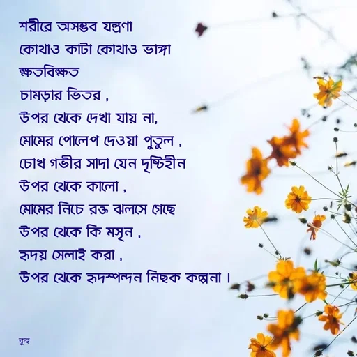 Quote by Tani's Art - শরীরে অসম্ভব যন্ত্রণা 
কোথাও কাটা কোথাও ভাঙ্গা 
ক্ষতবিক্ষত 
চামড়ার ভিতর ,
উপর থেকে দেখা যায় না, 
মোমের পোলেপ দেওয়া পুতুল ,
চোখ গভীর সাদা যেন দৃষ্টিহীন
উপর থেকে কালো ,
মোমের নিচে রক্ত ঝলসে গেছে 
উপর থেকে কি মসৃন ,
হৃদয় সেলাই করা , 
উপর থেকে হৃদস্পন্দন নিছক কল্পনা ।



কুহু  - Made using Quotes Creator App, Post Maker App