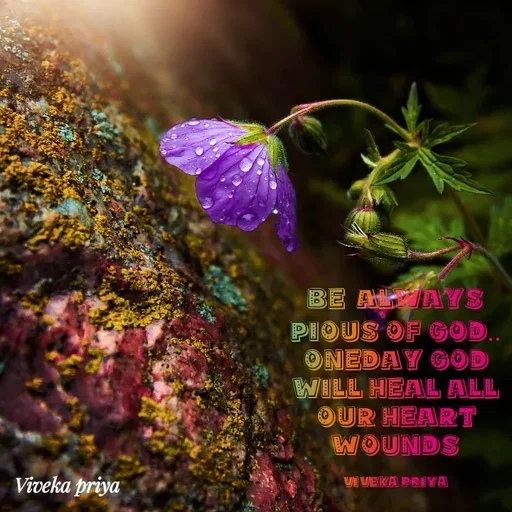 Quote by Viveka Priya - BE ALAYS
PIOUS OF GOD..
ONEDAY GOD
WILL HEAL ALL
OUR HEART
WOUNDS
Viveka priya
VI VEKA PRIYA
 - Made using Quotes Creator App, Post Maker App