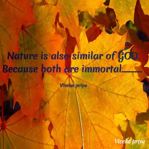Quote by Viveka Priya - Nature is also similar of GOD.
Because both are immortal.
Viveka priya
Viveka priya
 - Made using Quotes Creator App, Post Maker App