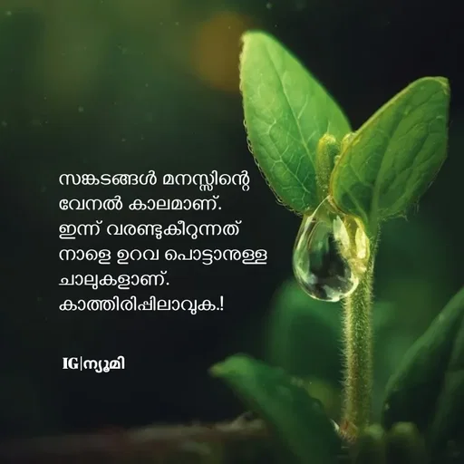 Quote by Ⓩ︎ⓐ︎ⓘ︎ⓝ︎ - സങ്കടങ്ങൾ മനസ്സിന്റെ 
വേനൽ കാലമാണ്.
ഇന്ന് വരണ്ടുകീറുന്നത് 
നാളെ ഉറവ പൊട്ടാനുള്ള 
ചാലുകളാണ്.
കാത്തിരിപ്പിലാവുക.!

IG|ന്യൂമി  - Made using Quotes Creator App, Post Maker App