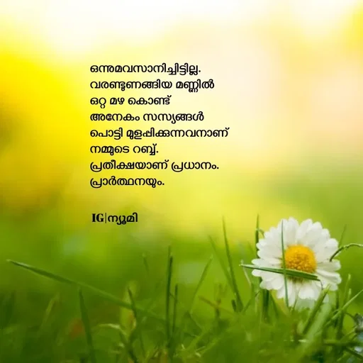 Quote by Ⓩ︎ⓐ︎ⓘ︎ⓝ︎ - ഒന്നുമവസാനിച്ചിട്ടില്ല.
വരണ്ടുണങ്ങിയ മണ്ണിൽ 
ഒറ്റ മഴ കൊണ്ട് 
അനേകം സസ്യങ്ങൾ 
പൊട്ടി മുളപ്പിക്കുന്നവനാണ് 
നമ്മുടെ റബ്ബ്.
പ്രതീക്ഷയാണ് പ്രധാനം.
പ്രാർത്ഥനയും.


IG|ന്യൂമി  - Made using Quotes Creator App, Post Maker App