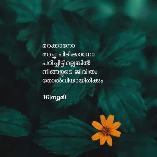 Quote by Ⓩ︎ⓐ︎ⓘ︎ⓝ︎ - മറക്കാനോ 
മറച്ചു പിടിക്കാനോ 
പഠിച്ചിട്ടില്ലെങ്കിൽ 
നിങ്ങളുടെ ജീവിതം 
തോൽവിയായിരിക്കും IG|ന്യൂമി  - Made using Quotes Creator App, Post Maker App