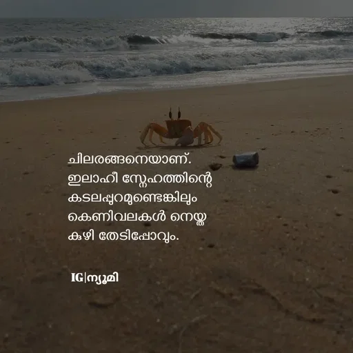 Quote by Ⓩ︎ⓐ︎ⓘ︎ⓝ︎ - ചിലരങ്ങനെയാണ്.
ഇലാഹീ സ്നേഹത്തിന്റെ 
കടലപ്പുറമുണ്ടെങ്കിലും 
കെണിവലകൾ നെയ്ത 
കുഴി തേടിപ്പോവും.

IG|ന്യൂമി  - Made using Quotes Creator App, Post Maker App
