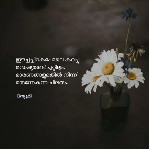 Quote by Ⓩ︎ⓐ︎ⓘ︎ⓝ︎ - ഈച്ചച്ചിറകുപോലെ കുറച്ചു
മനുഷ്യരുണ്ട് ചുറ്റിലും.
മാരണങ്ങളുമതിൽ നിന്ന് 
മരുന്നേകുന്ന ചിലരും.


IG|ന്യൂമി  - Made using Quotes Creator App, Post Maker App