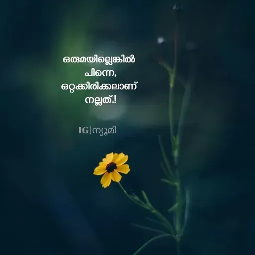 Quote by Ⓩ︎ⓐ︎ⓘ︎ⓝ︎ -  - Made using Quotes Creator App, Post Maker App