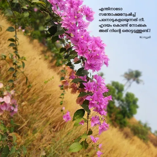 Quote by Ⓩ︎ⓐ︎ⓘ︎ⓝ︎ -  - Made using Quotes Creator App, Post Maker App