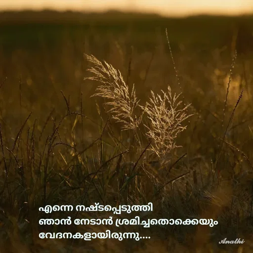 Quote by AnathiRajeesh -  - Made using Quotes Creator App, Post Maker App