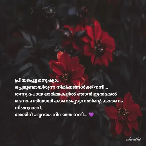 Quote by AnathiRajeesh -  - Made using Quotes Creator App, Post Maker App
