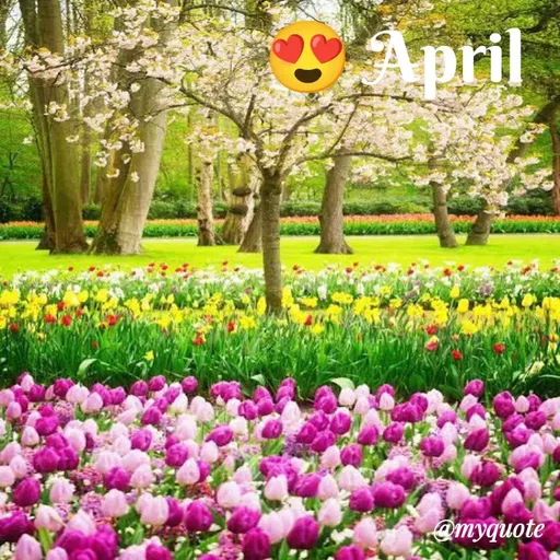 Quote by El Dee -  - Made using Quotes Creator App, Post Maker App