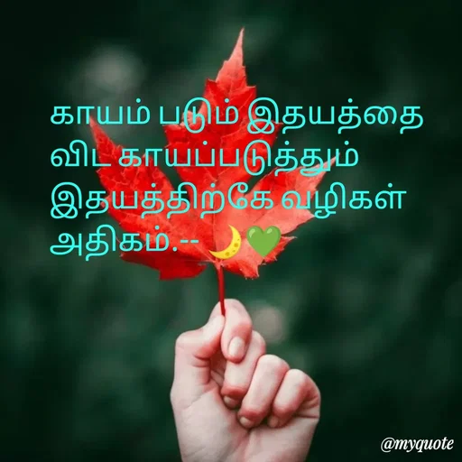 Quote by NILA.M NILA.M - காயம் படும் இதயத்தை விட காயப்படுத்தும் இதயத்திற்கே வழிகள் அதிகம்.-- 🌙💚 - Made using Quotes Creator App, Post Maker App